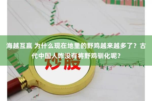 海越互赢 为什么现在地里的野鸡越来越多了？古代中国人咋没有将野鸡驯化呢？