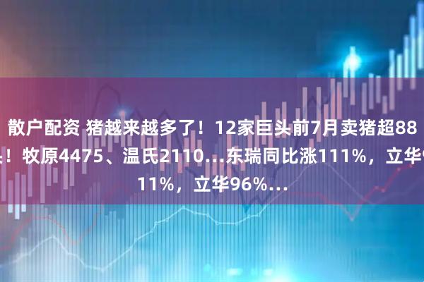 散户配资 猪越来越多了！12家巨头前7月卖猪超8800万头！牧原4475、温氏2110…东瑞同比涨111%，立华96%…