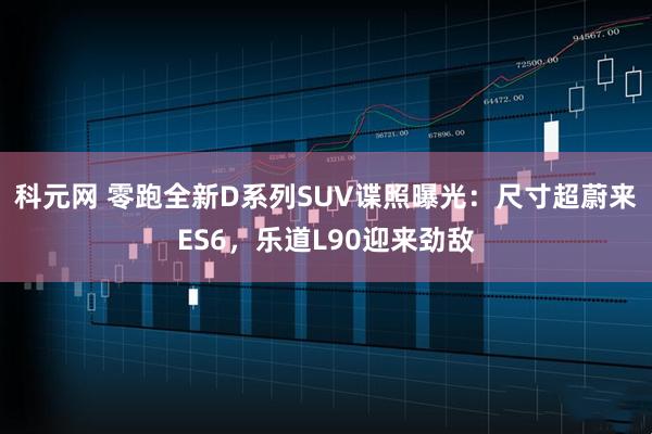 科元网 零跑全新D系列SUV谍照曝光：尺寸超蔚来ES6，乐道L90迎来劲敌