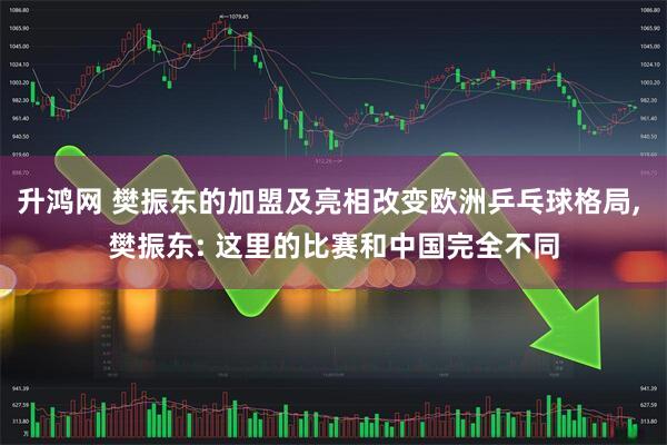 升鸿网 樊振东的加盟及亮相改变欧洲乒乓球格局, 樊振东: 这里的比赛和中国完全不同