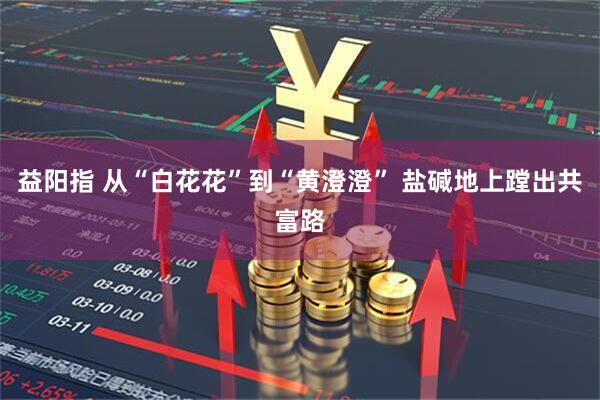 益阳指 从“白花花”到“黄澄澄” 盐碱地上蹚出共富路