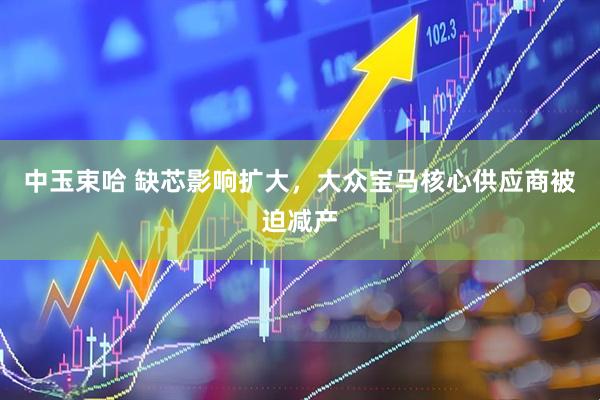 中玉束哈 缺芯影响扩大，大众宝马核心供应商被迫减产